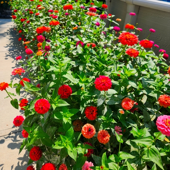 Meet your Posher, Michele - Picture 1 of 1